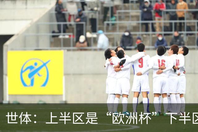 世体：上半区是“欧洲杯”下半区是“美洲杯”，英阿大战太迷人