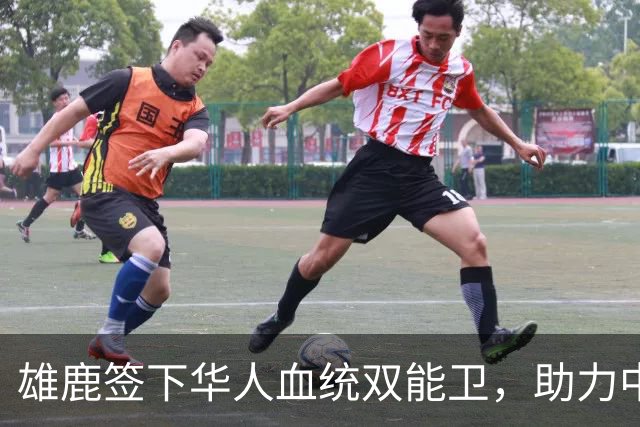 雄鹿签下华人血统双能卫，助力中国男篮归化新目标，疑似孙氏后裔